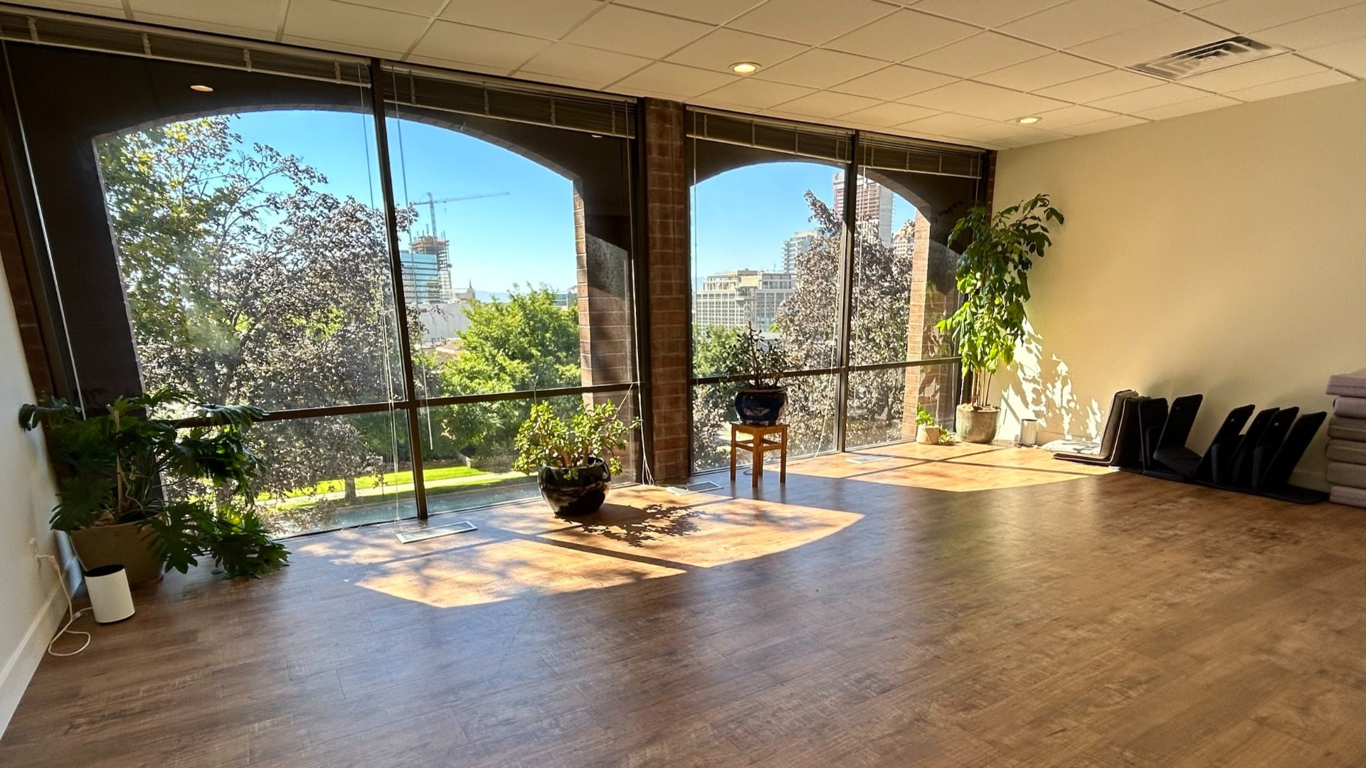 Sunlit Mandala Healing Journeys group room with floor-to-ceiling arched windows and plants